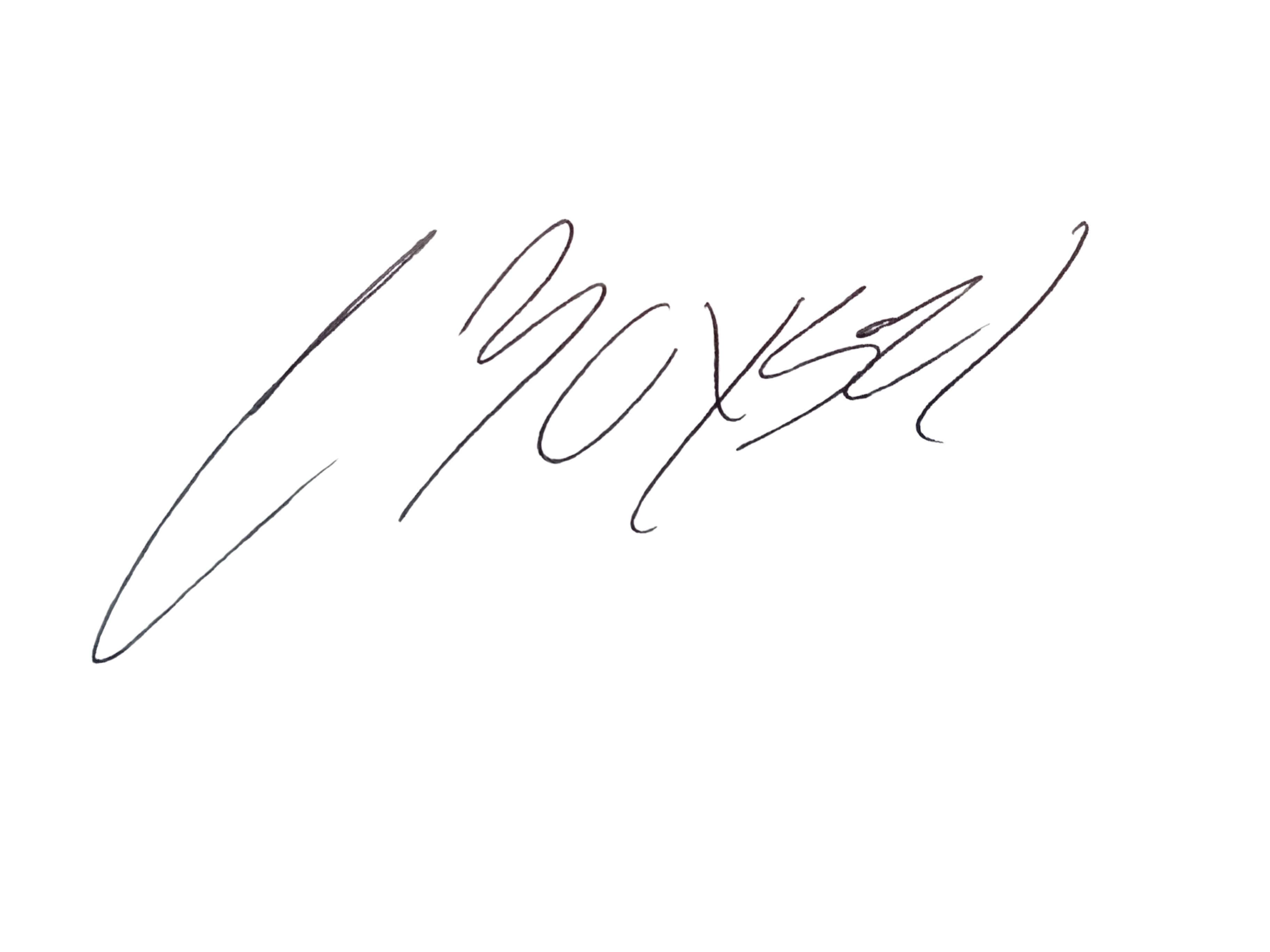 CBoysel Signature Logo